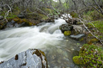 Hidden Creek